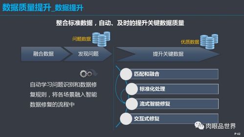 构建高效数据治理体系 从战略到实践的全面解决方案